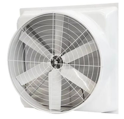 Roof Ventilation Wall Mounted FRP Negative Pressure Fan Fiber Glass Exhaust Fan