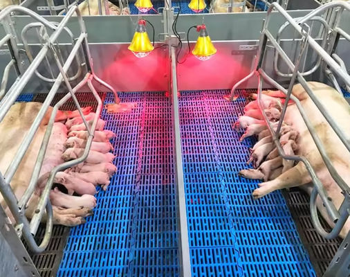 High Strength Easy To Clean And Maintain GRP Floor Grating FRP Molded Pig Chicken Sheep Floor Grating