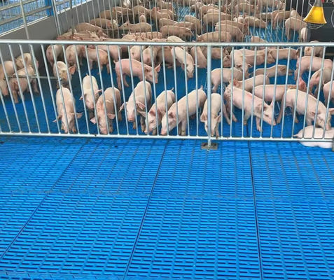 High Strength Easy To Clean And Maintain GRP Floor Grating FRP Molded Pig Chicken Sheep Floor Grating
