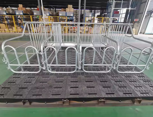 Easy To Clean And Maintain GRP Floor Grating FRP Farm Farm Processing Plant  38x38mm Long Service Life