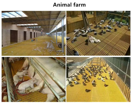Easy To Clean And Maintain GRP Floor Grating FRP Farm Farm Processing Plant  38x38mm Long Service Life